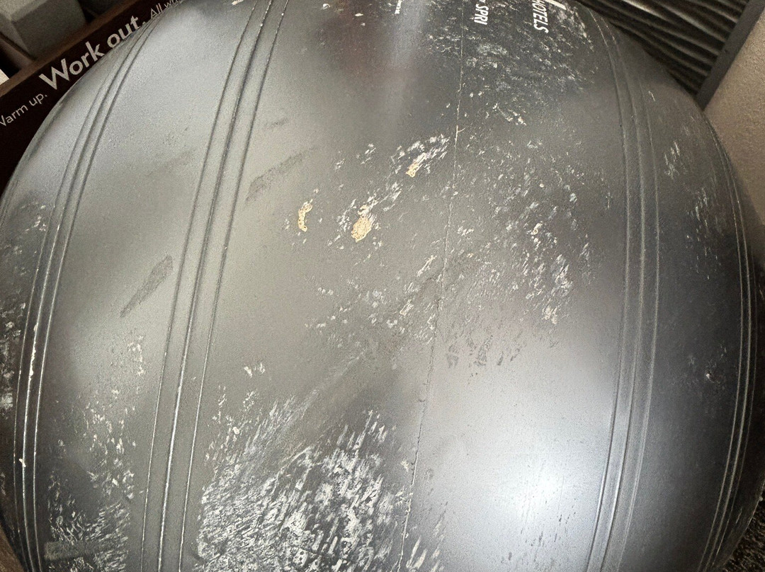 芝加哥 Tinley 公园会展中心假日酒店主图