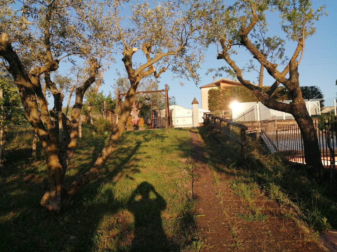 B&B Villa Milena主图