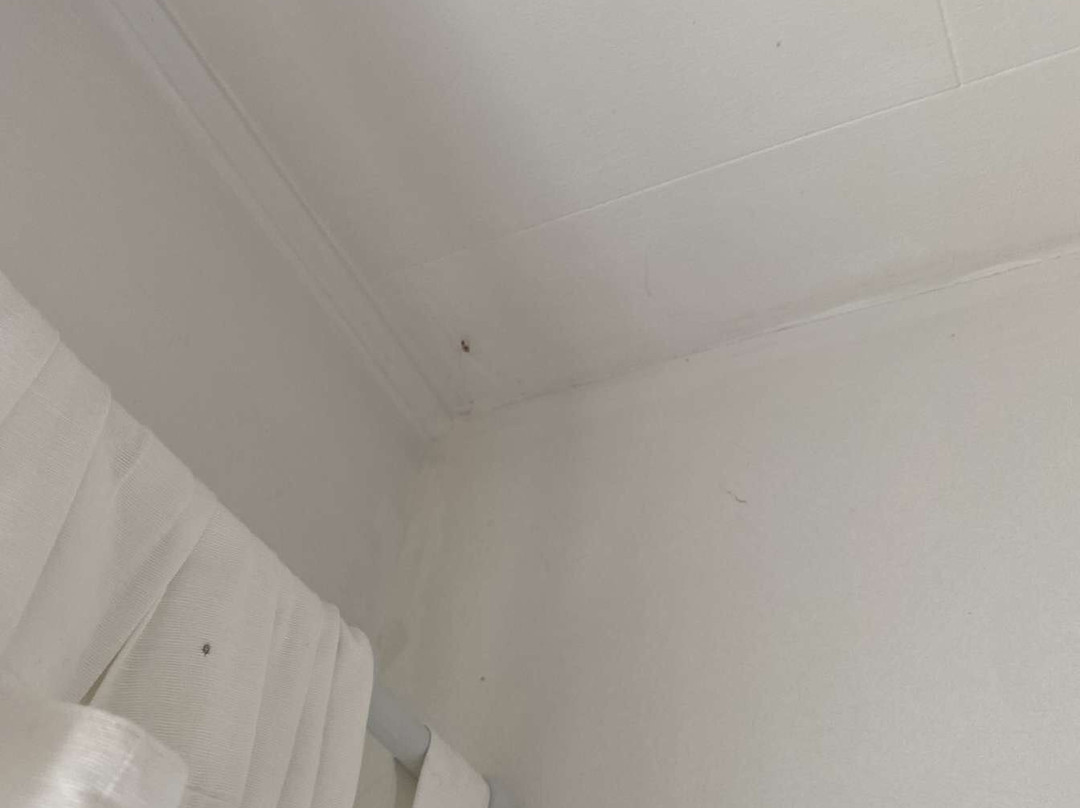 散库斯贝德酒店主图