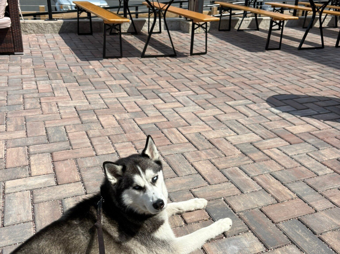 Ore Dock Brewing Company-Marquette必去景点