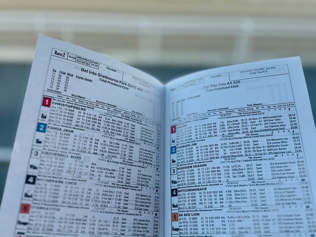 Dundalk Stadium-Dundalk必去景点