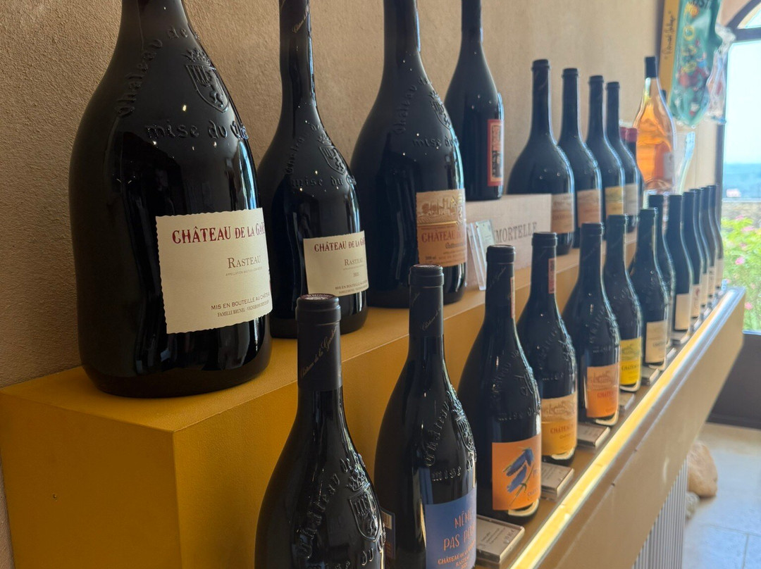 Château de la Gardine-教皇新堡必去景点