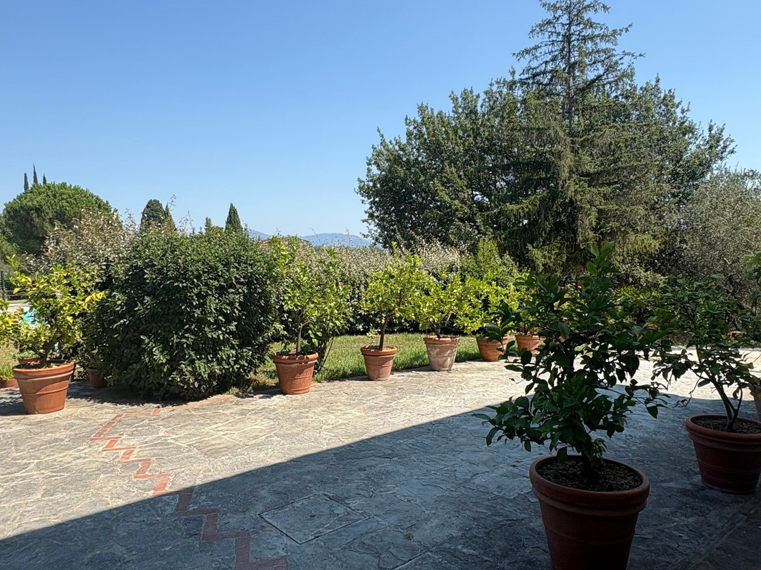 Agriturismo Villani Poderi Nesti & Cupoli主图