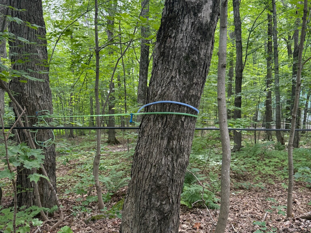 Erabliere Boily-Sainte-Famille必去景点