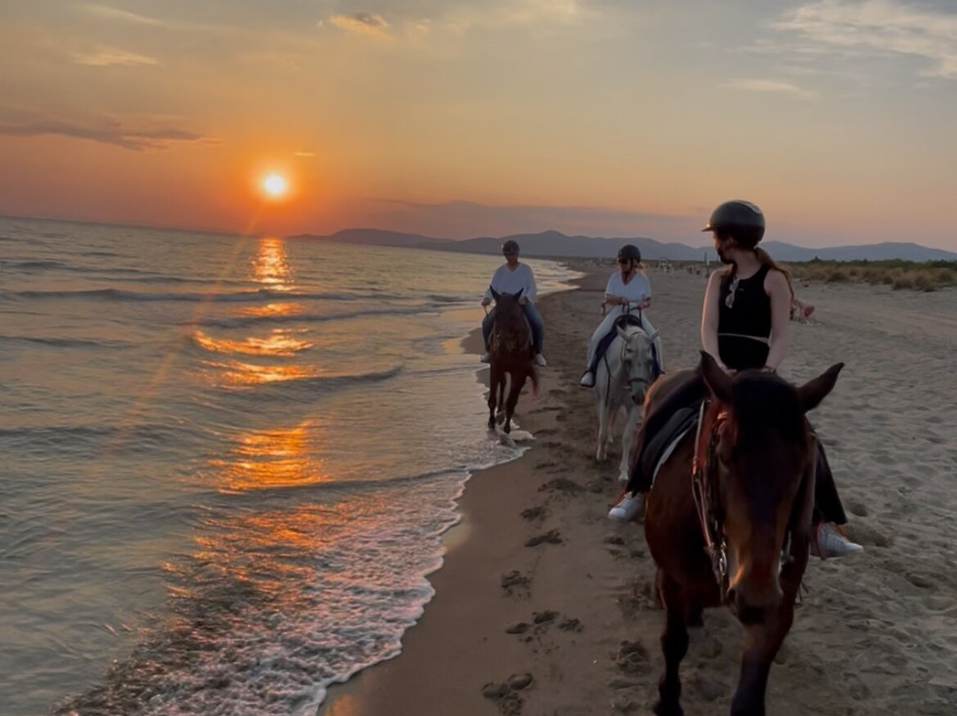 Cavallo Natura-Marina di Grosseto必去景点
