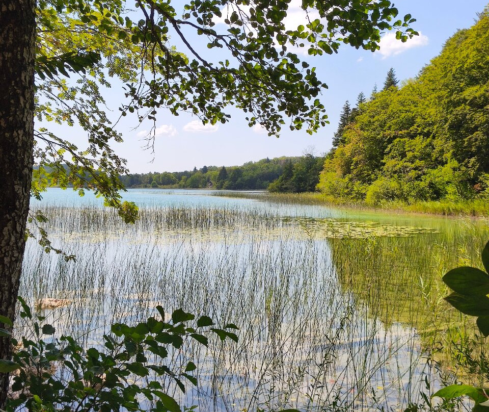 Belvedere des Quatre Lacs-La Chaux-du-Dombief必去景点