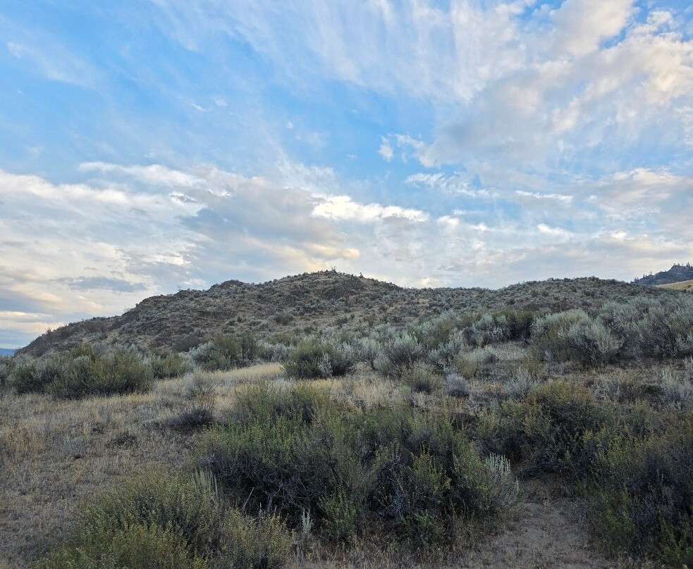 Sun Hills Riding Centre-奥索尤斯必去景点