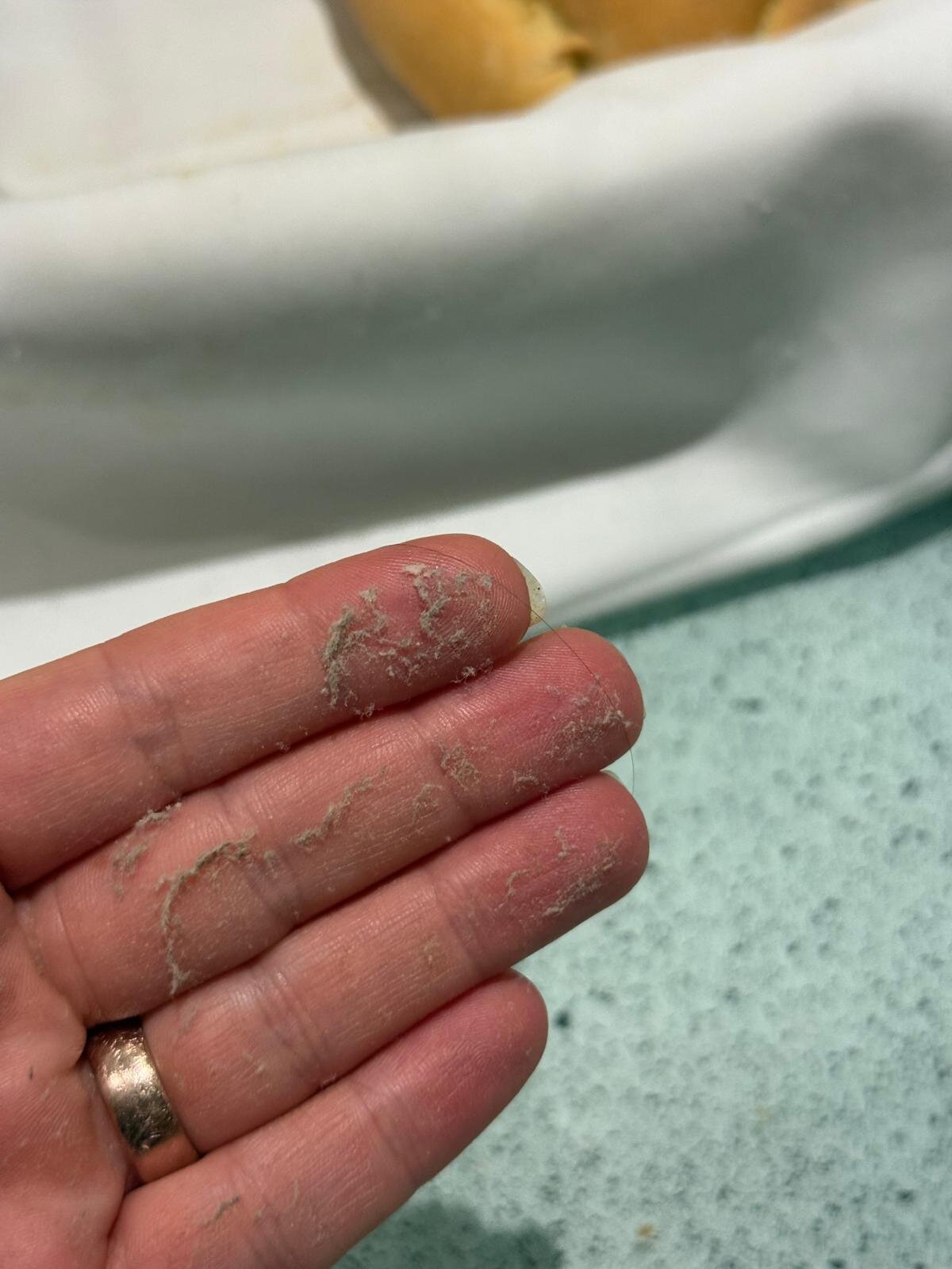 Xenios Possidi Paradise Hotel-官方