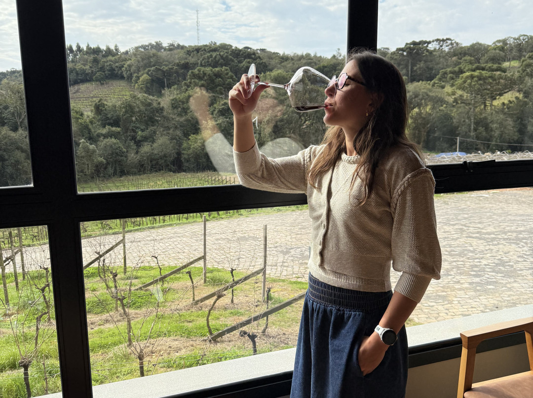 Don Laurindo-本图贡萨尔维斯必去景点