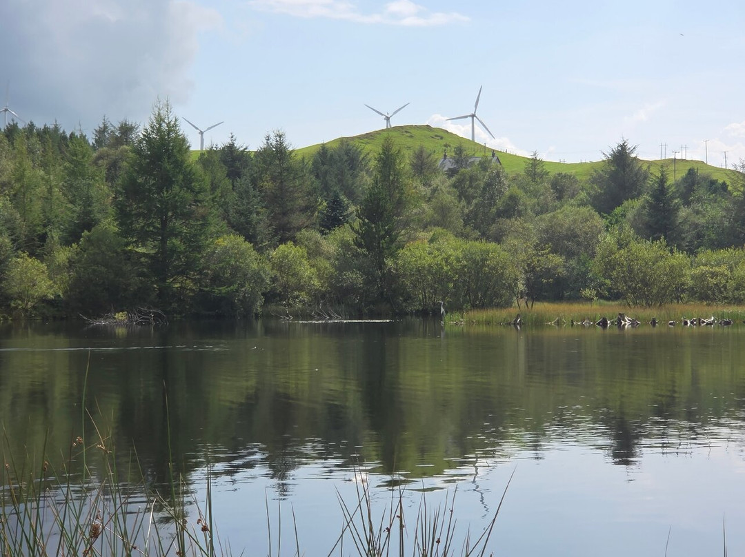 Bwlch Nant yr Arian Forest Visitor Centre-阿伯里斯特威斯必去景点