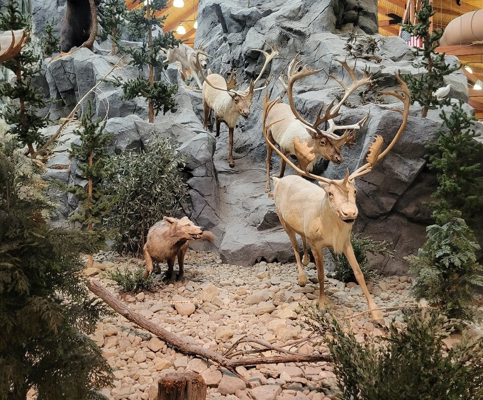 Cabela's-Triadelphia必去景点