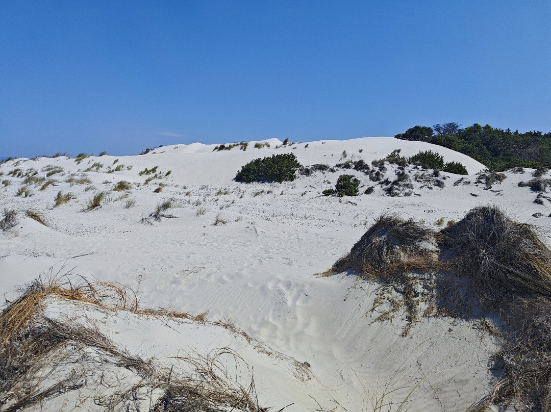 Le Dune Beach-Porto Pino必去景点