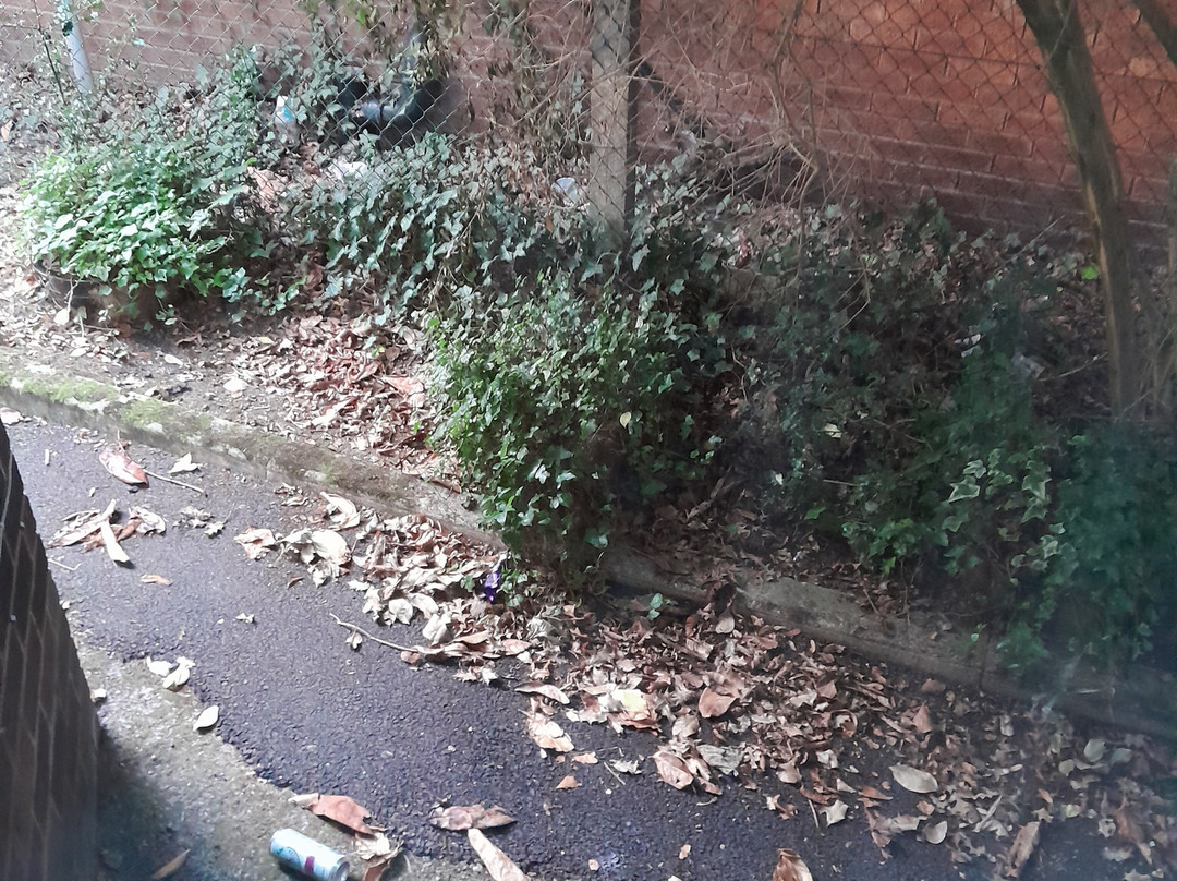 Oaklands Hotel主图