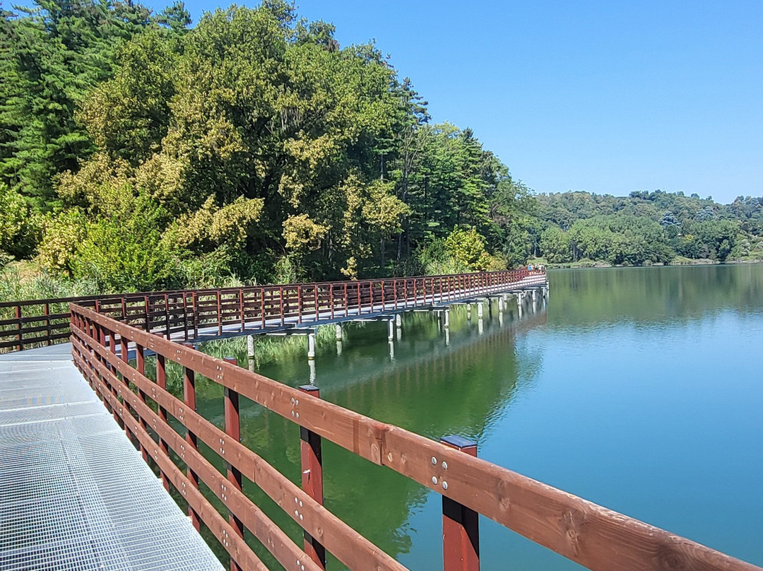 Lago di Comabbio-瓦雷泽必去景点