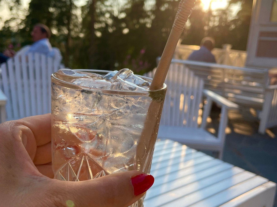 Hotelli Punkaharju主图