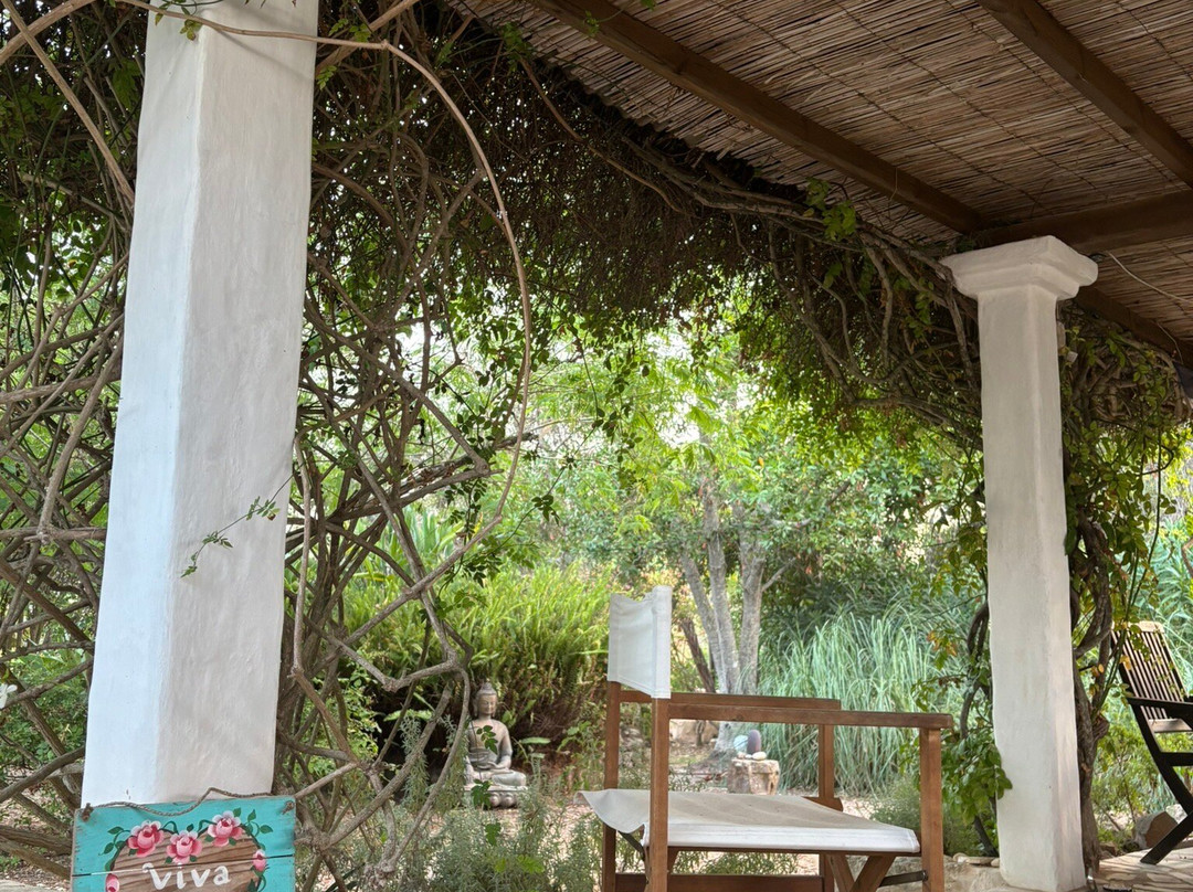 Yoga Pilates Ibiza-伊维萨必去景点