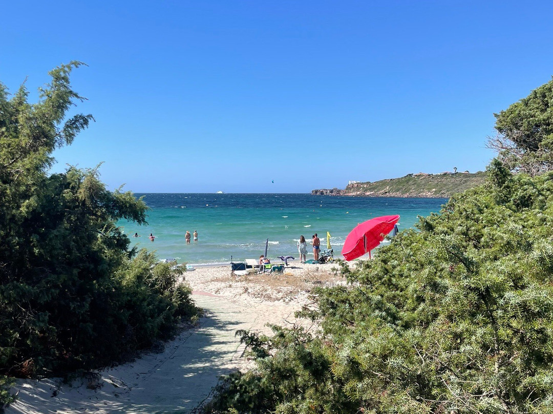 Spiaggia delle Saline-Calasetta必去景点