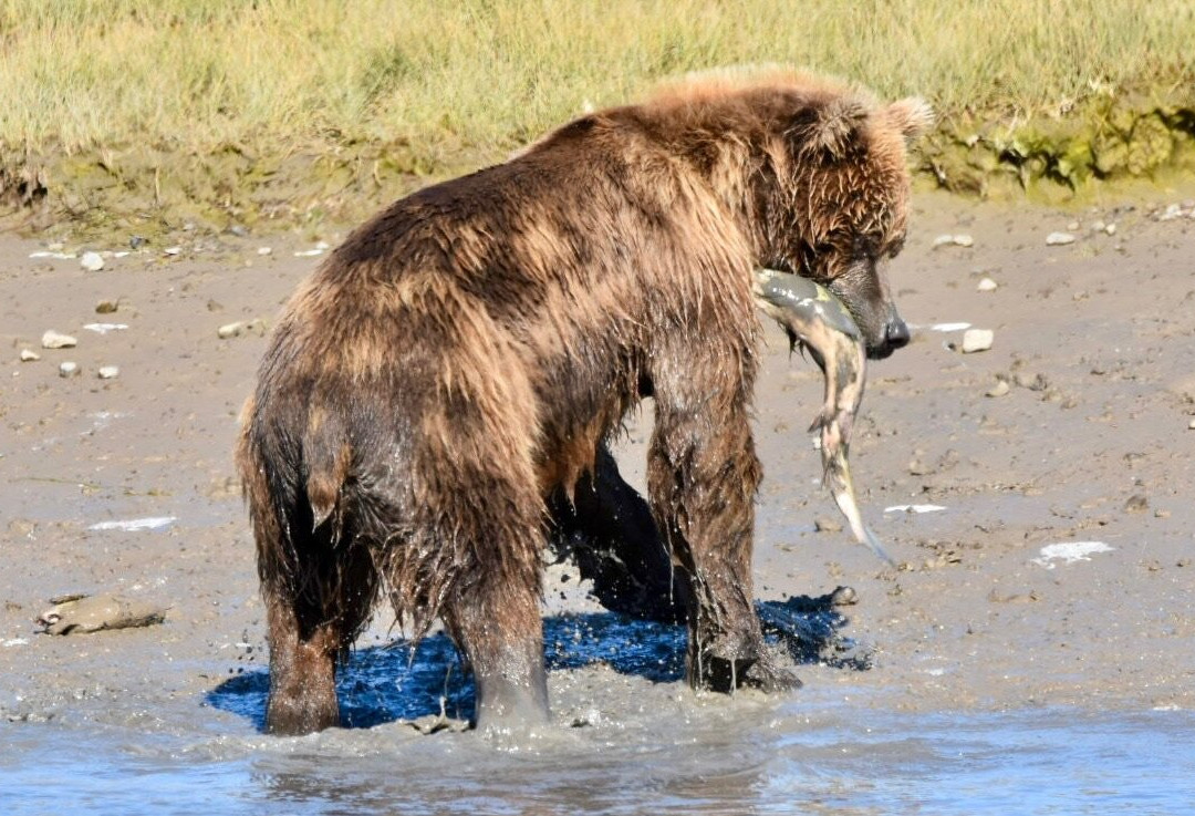 Alaska Ocean Pros-荷马必去景点