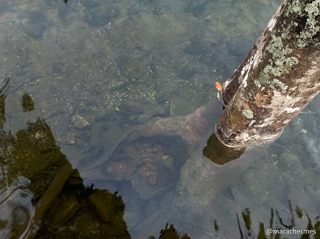 Cachoeira Recanto Feliz-Botuvera必去景点