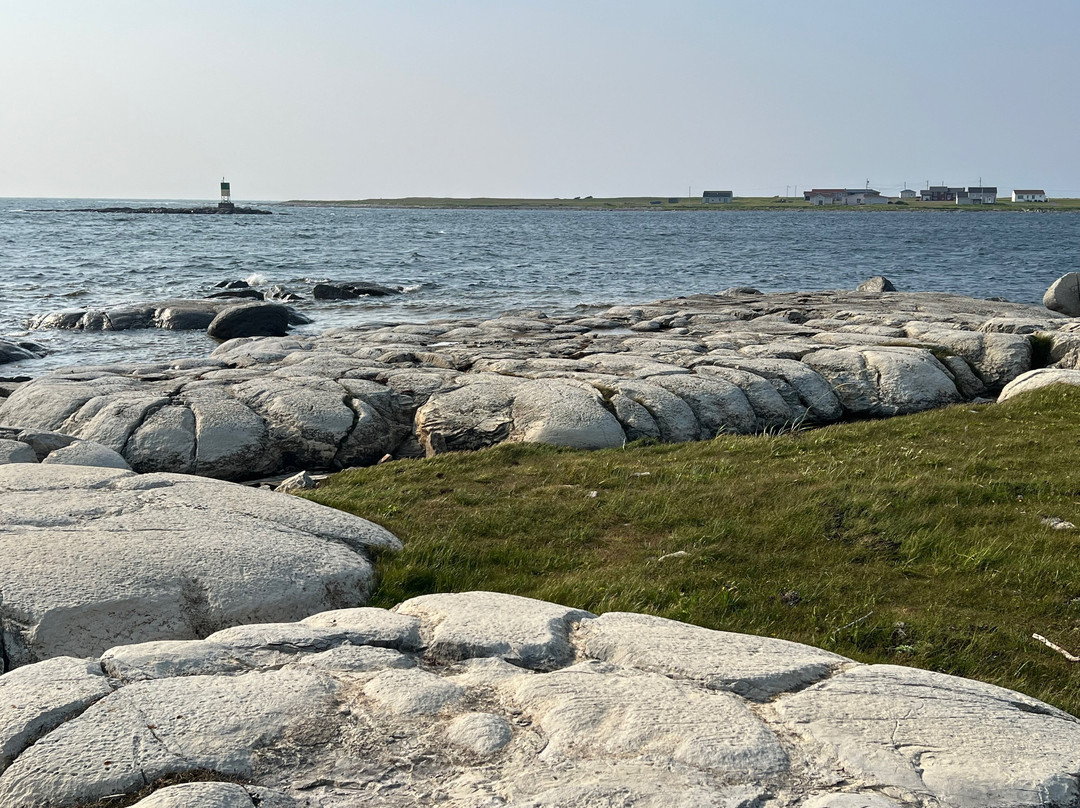 Thrombolites Walking Trail-Flower's Cove必去景点