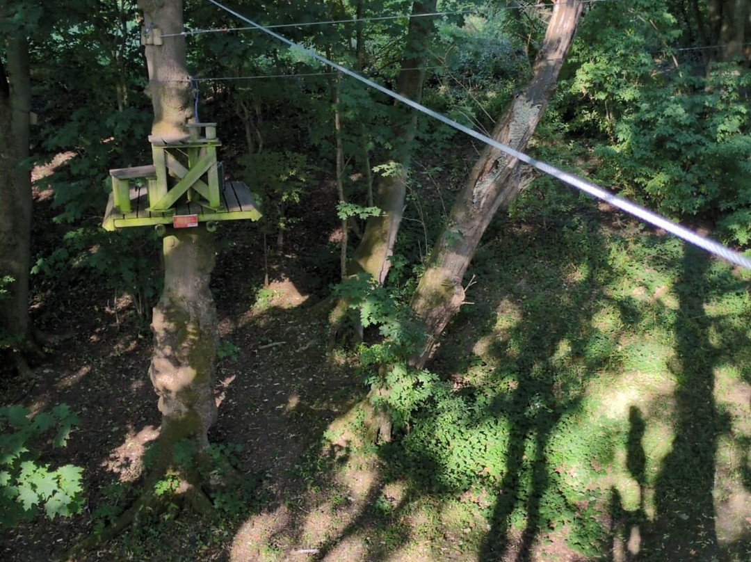 Raven Tree Top Adventure-斯基普顿必去景点