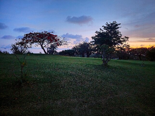 Vipingo Ridge-Kilifi必去景点