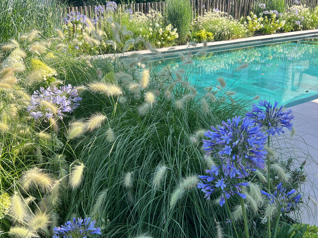 Maison Oppoca Hôtel Restaurant & Spa主图