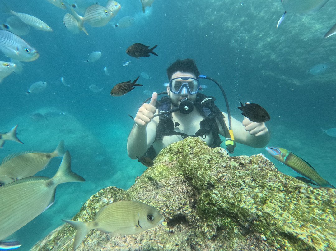 Octopus Diving Center-凯梅尔必去景点