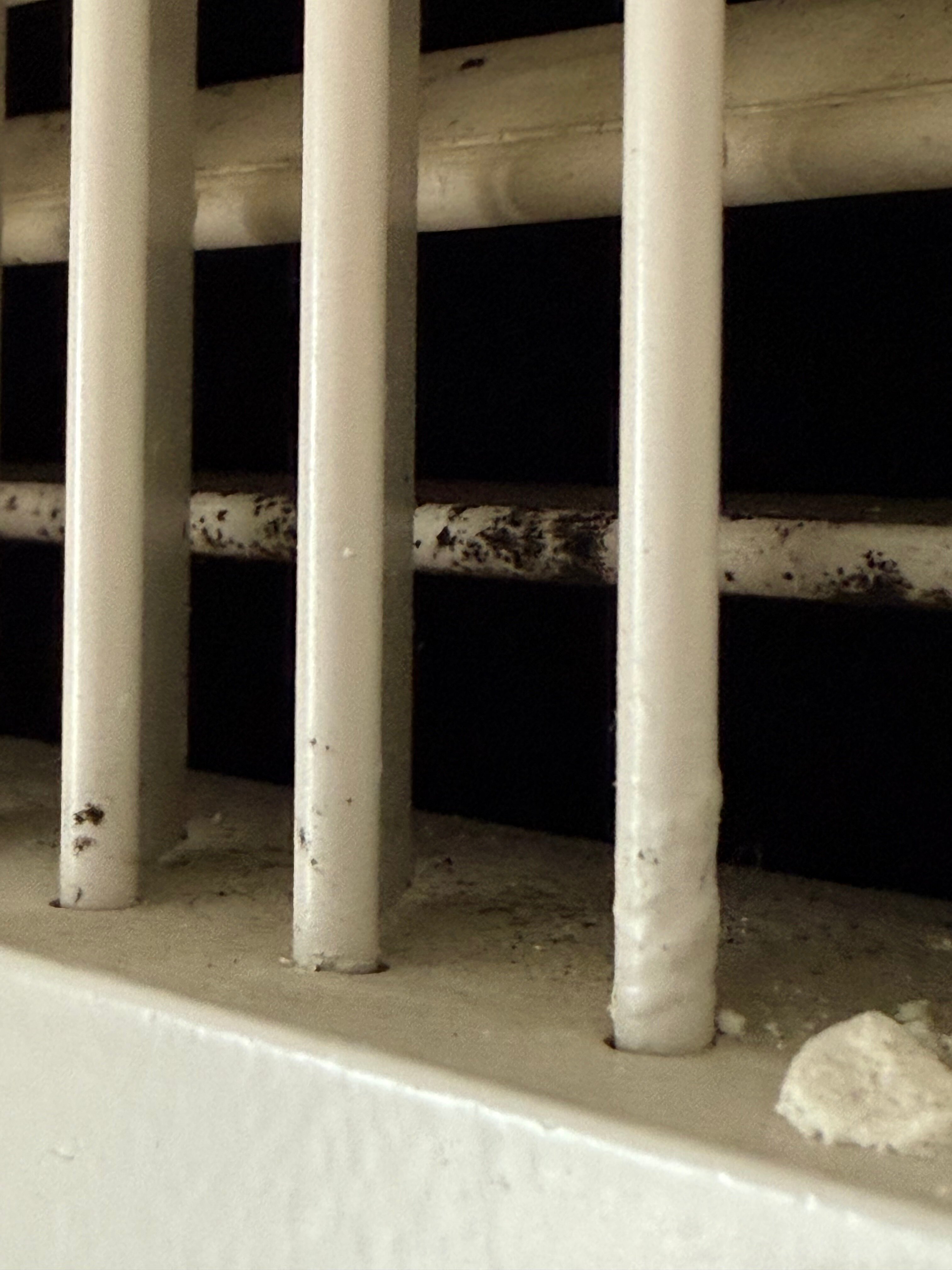 蒂内克格棱波音特万豪酒店-浴室