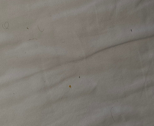 Hampton Inn Detroit/roseville主图