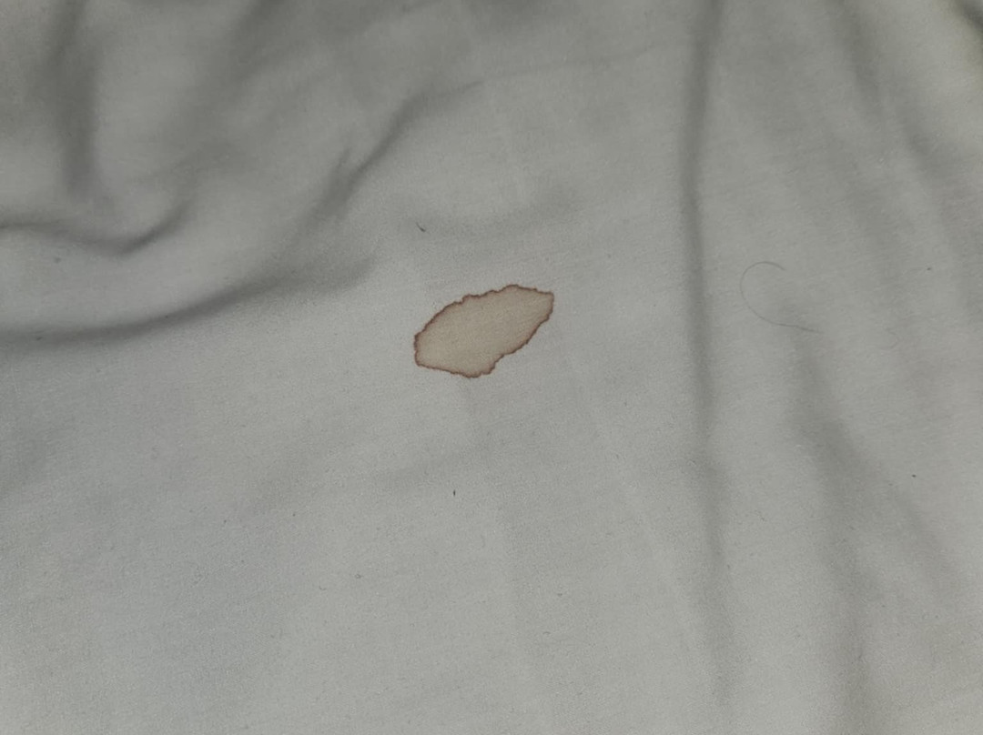 Holiday Inn Express Devils Lake By IHG主图