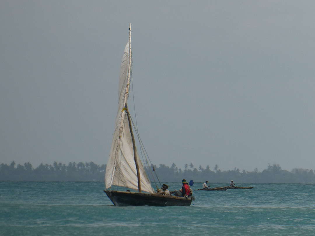 Lazy Lagoon Island Lodge主图