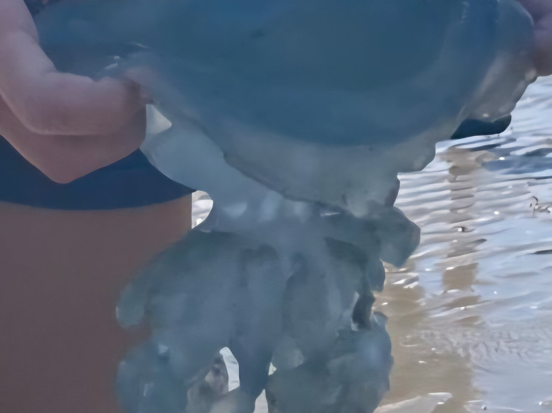 De Groot Recreatie-Hippolytushoef必去景点