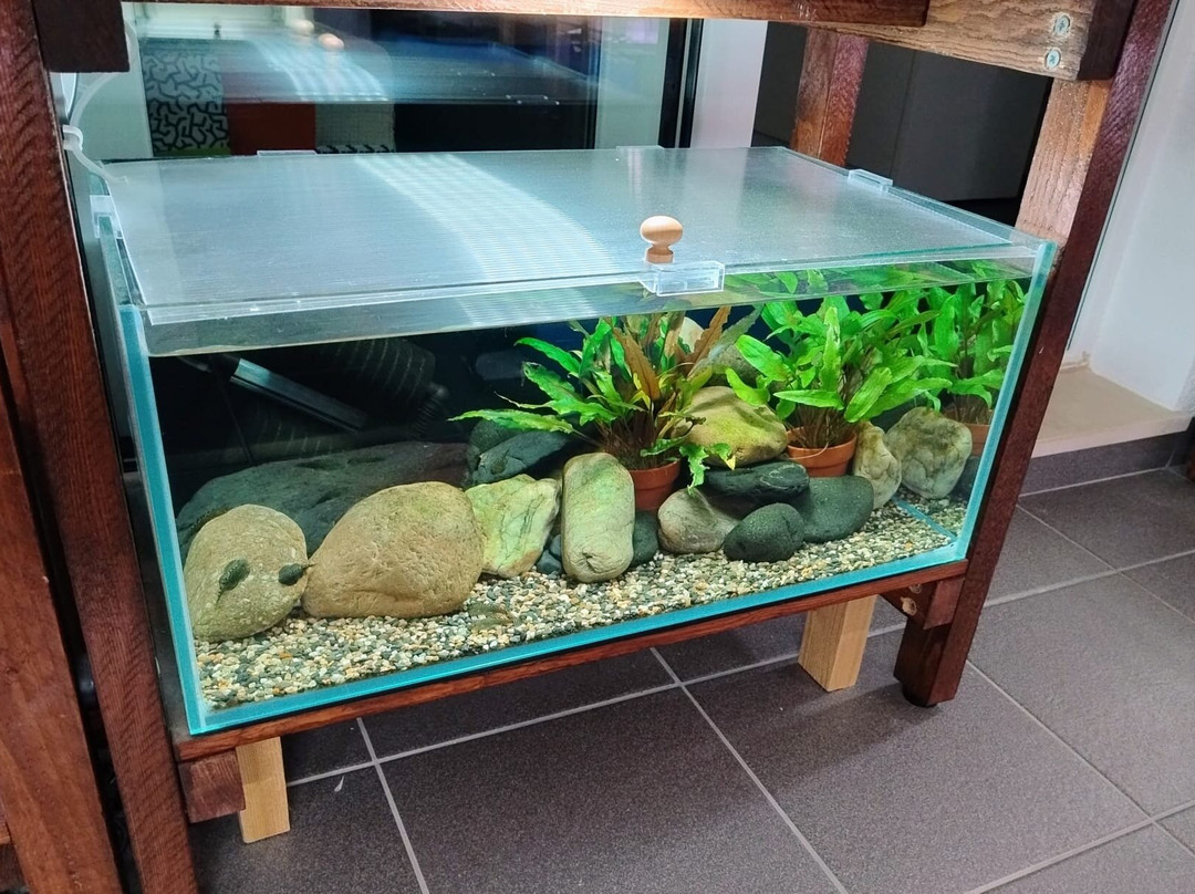 IM Aqua - Aquarium Gallery Tour