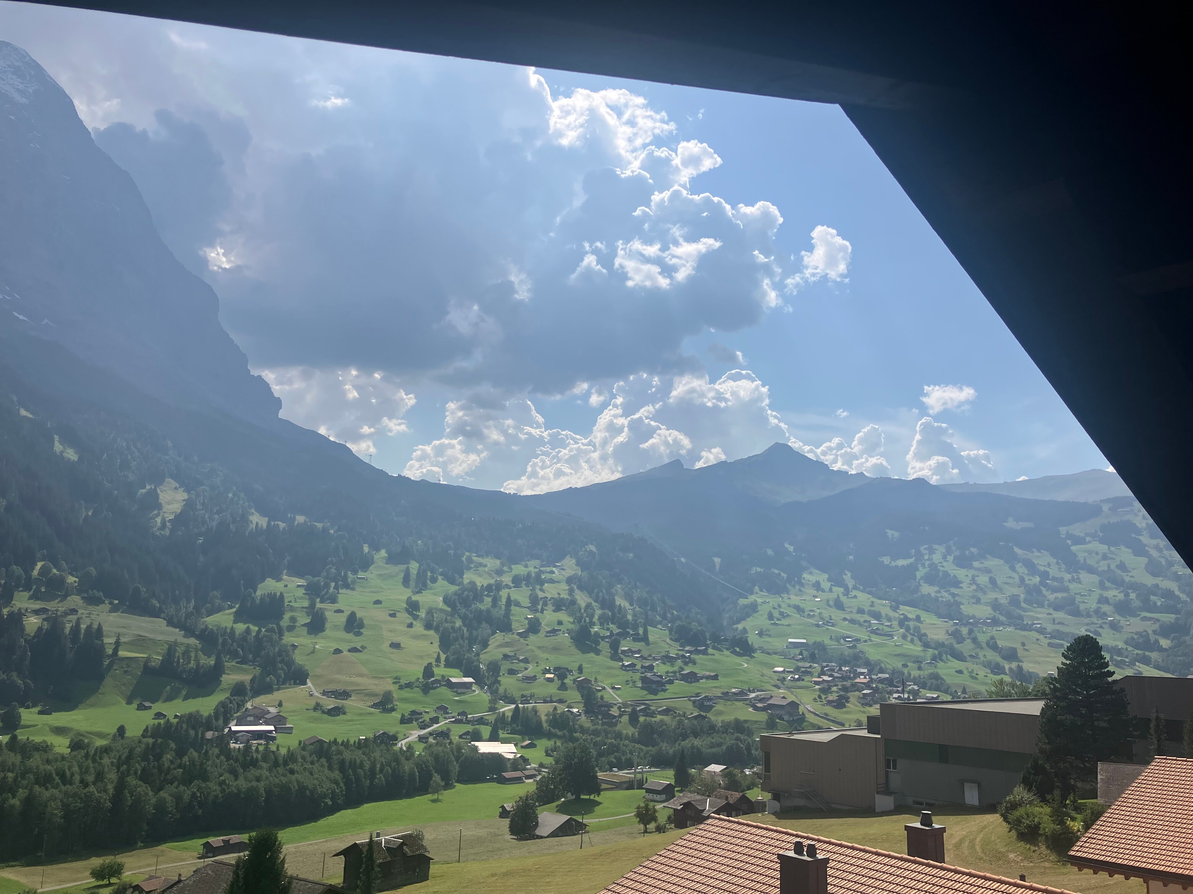 楚根大酒店-官方