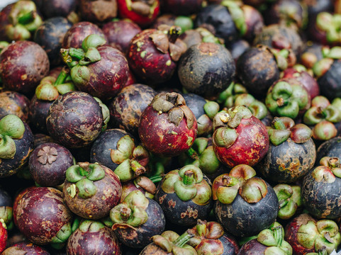 Spring Saigon Tours-胡志明市必去景点