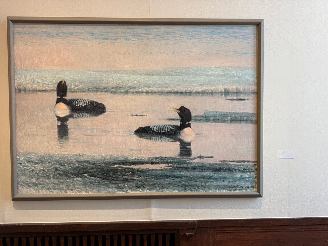 Liljevalchs Konsthall-Djurgården必去景点