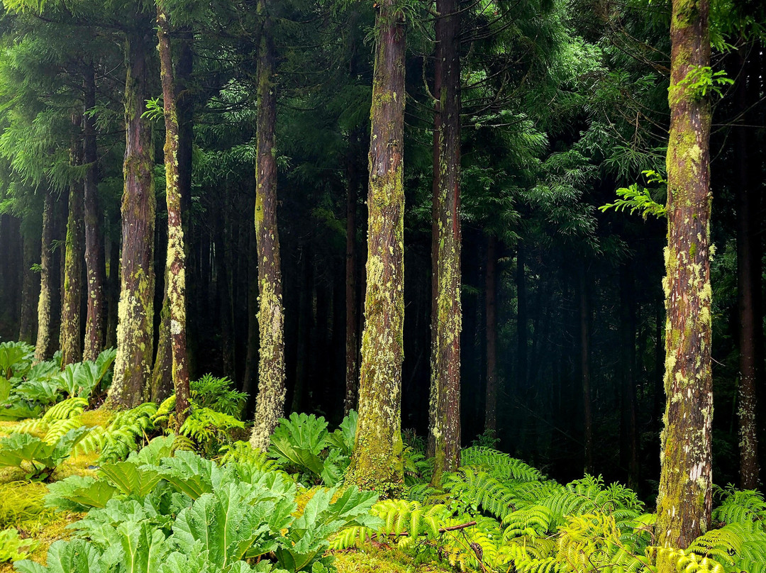 Acores Trilhos da Natureza-蓬塔德尔加达必去景点