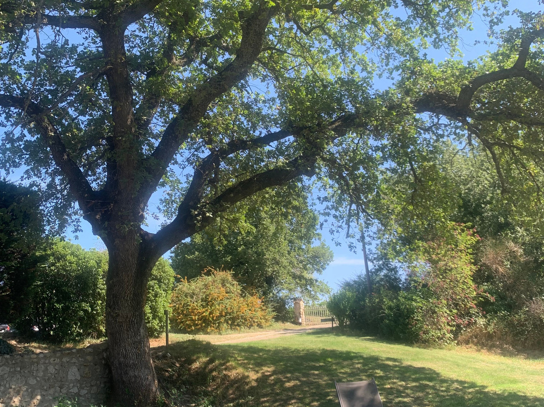 La Croix du Gres主图