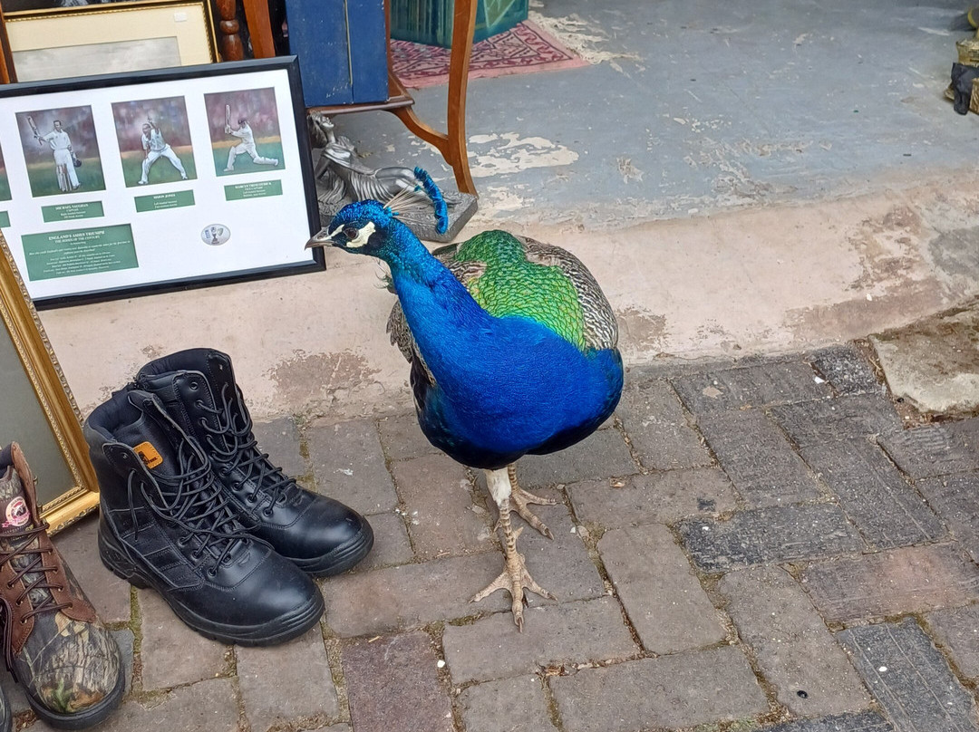Amerton Farm-斯塔福德必去景点