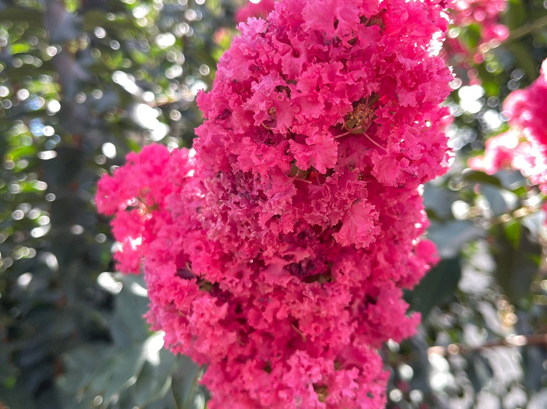 Best Western Statesville Inn主图