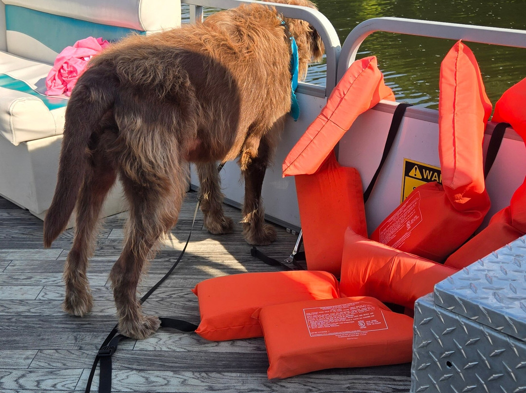 Lake Logan Marina-洛根必去景点