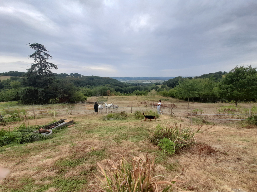 Les Terrasses De Bessou主图