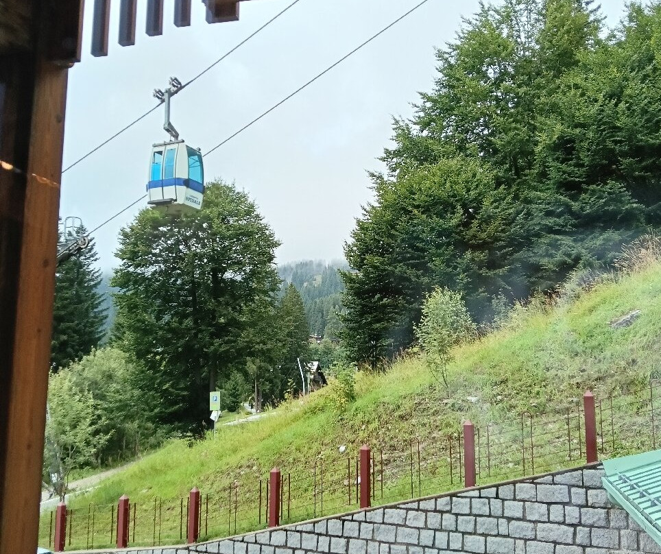 Cerana Relax Hotel主图