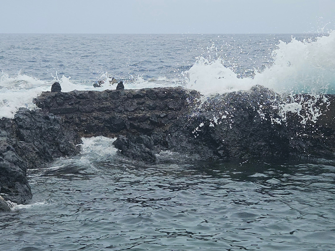 Piscinas Naturales El Caletón-加拉奇科必去景点