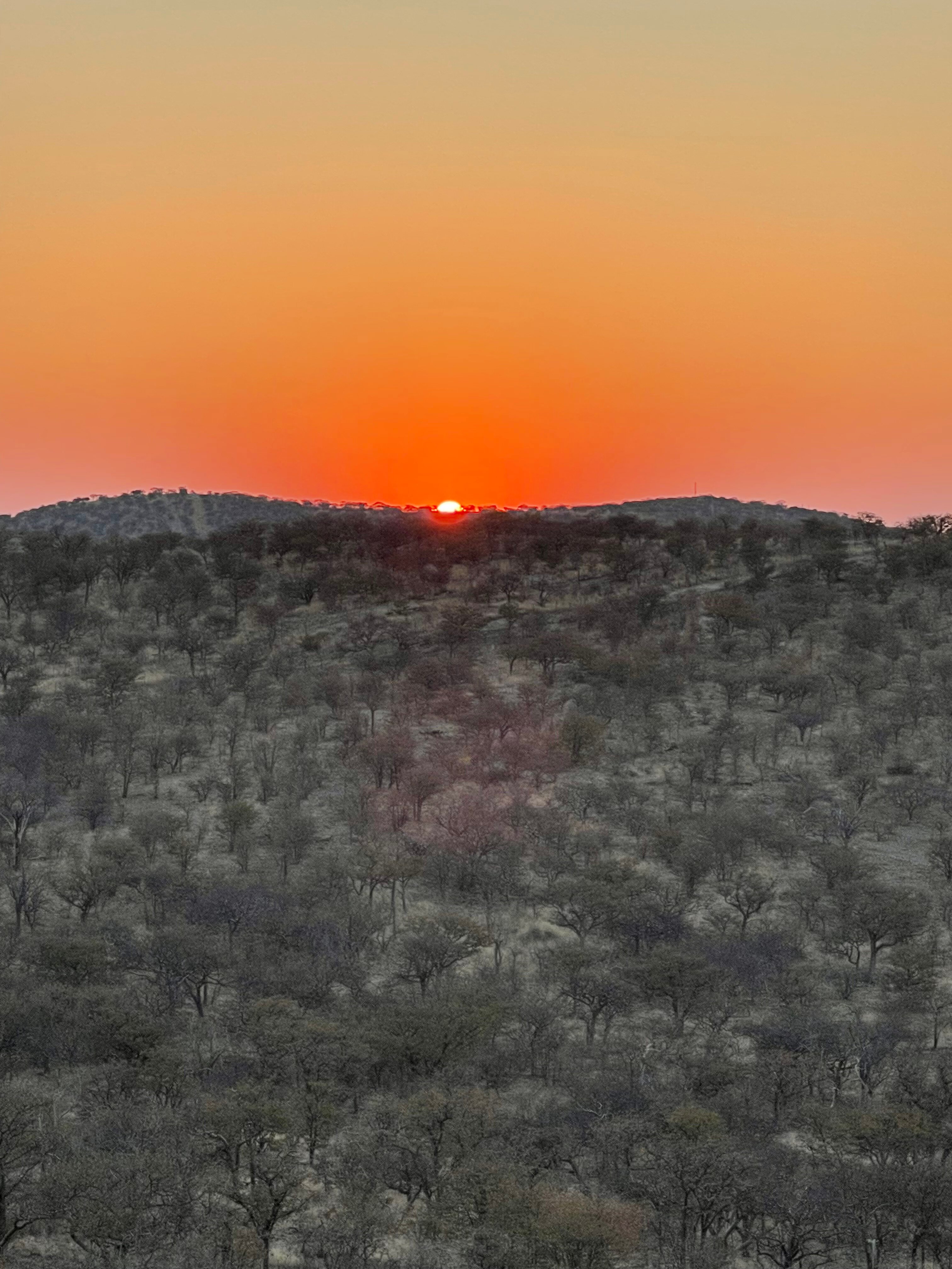 埃托沙乡村酒店-官方