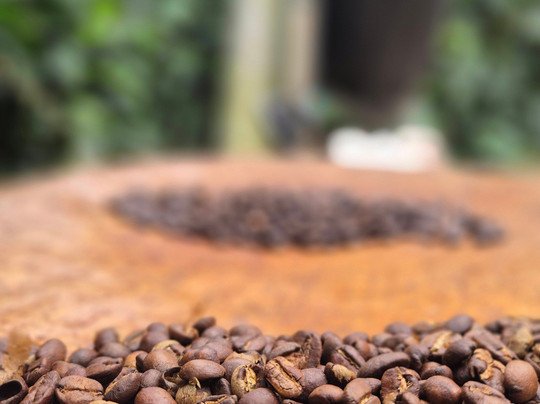 Panamadventure Travels and Tourguide services-波魁特必去景点