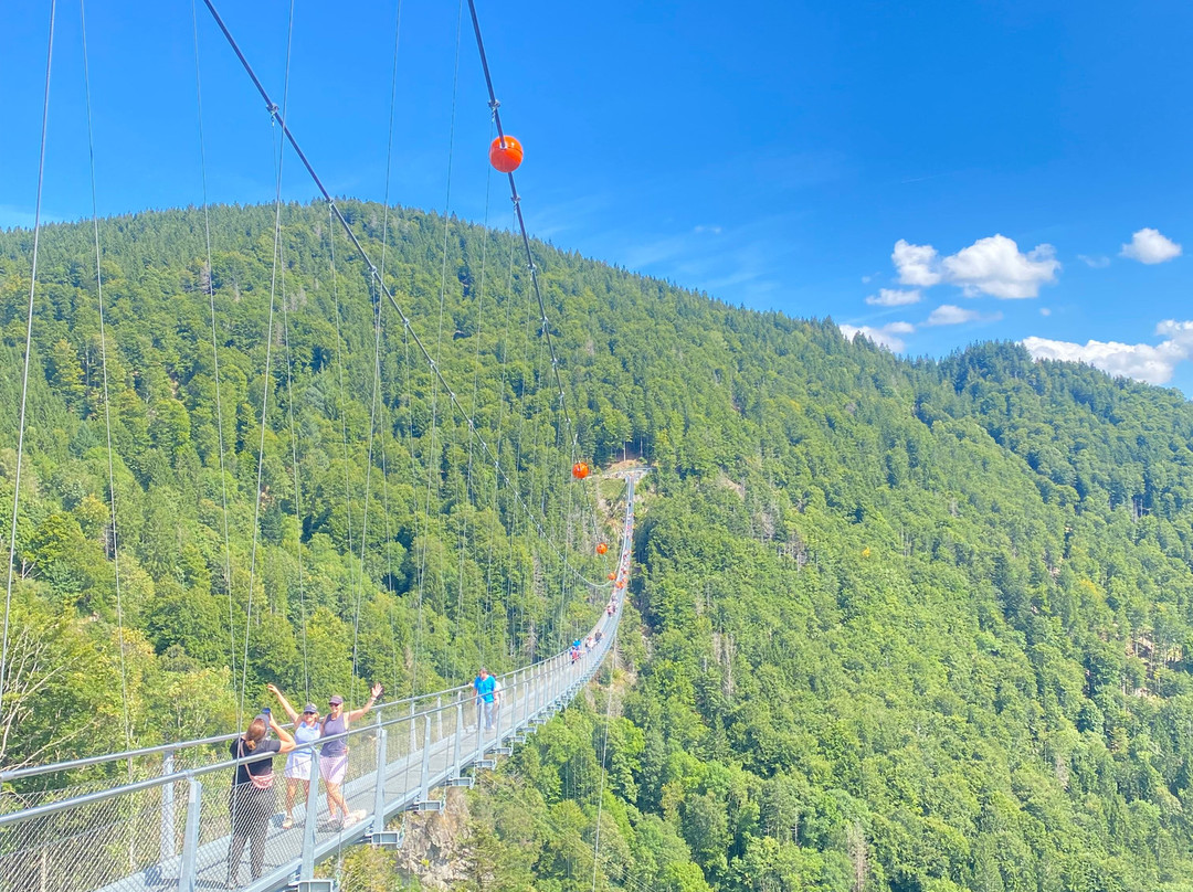 Blackforestline Hangebrucke-托特瑙必去景点