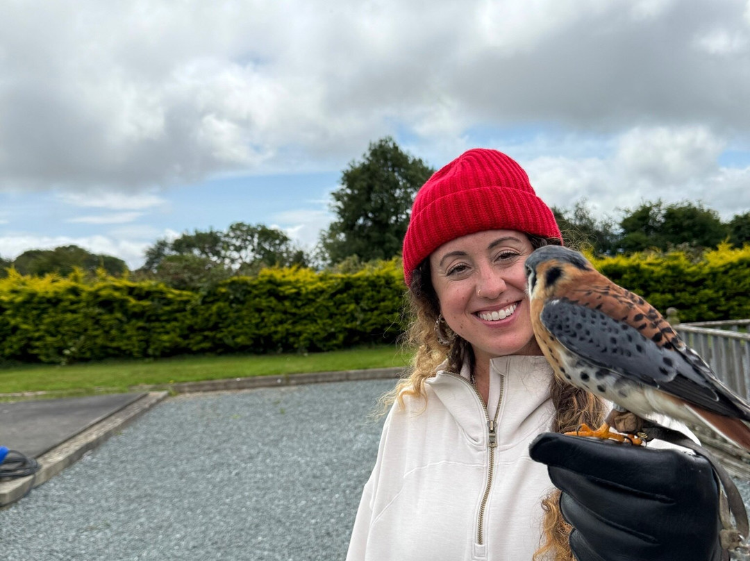 Faha Falconry-Faha必去景点