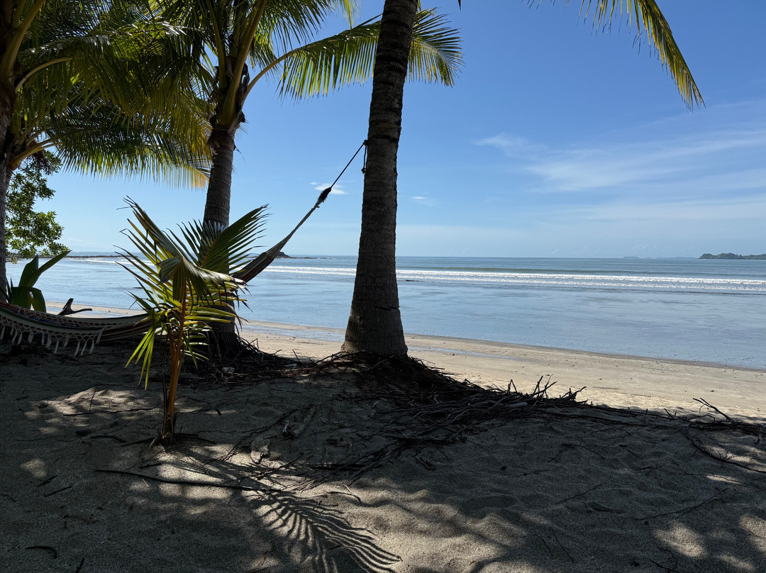 El Regalo Resort主图